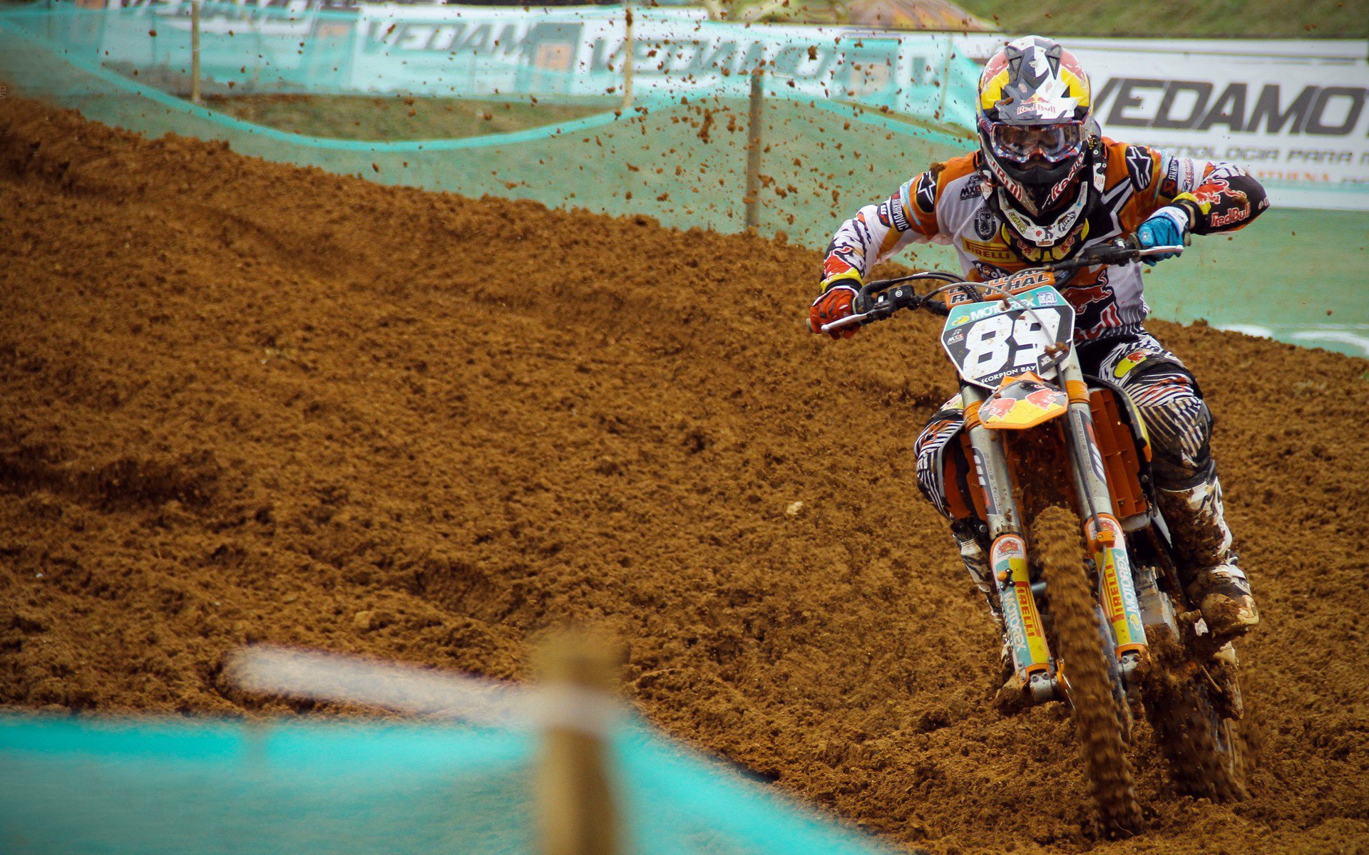 公牛球迷展示全家NBA主题装扮登热搜，nba公牛成员