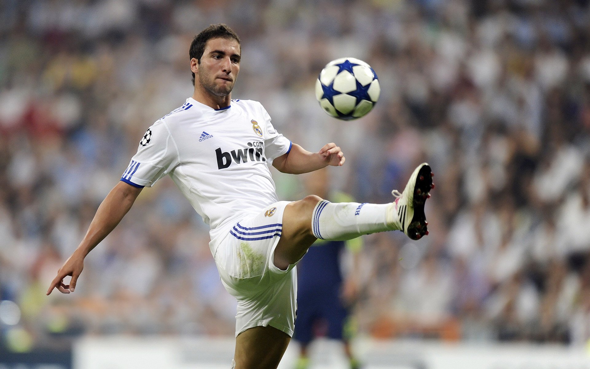 开云体育下载-陈佳用实力回应期待，陈佳什么